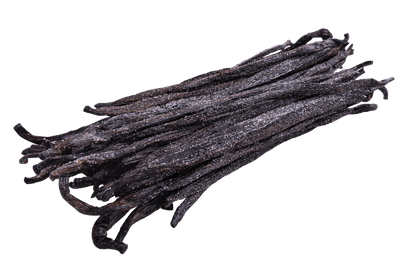 Ecuadorian Vanilla Beans - Grade A - Stavoren Trading Co.